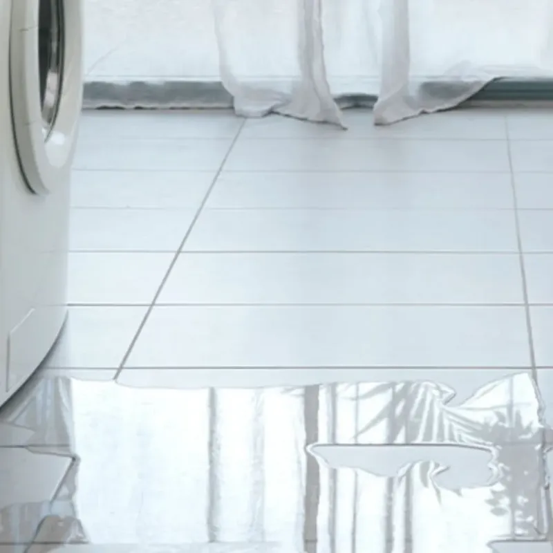 Appliance Leak Cleanup in Three Lakes, WA