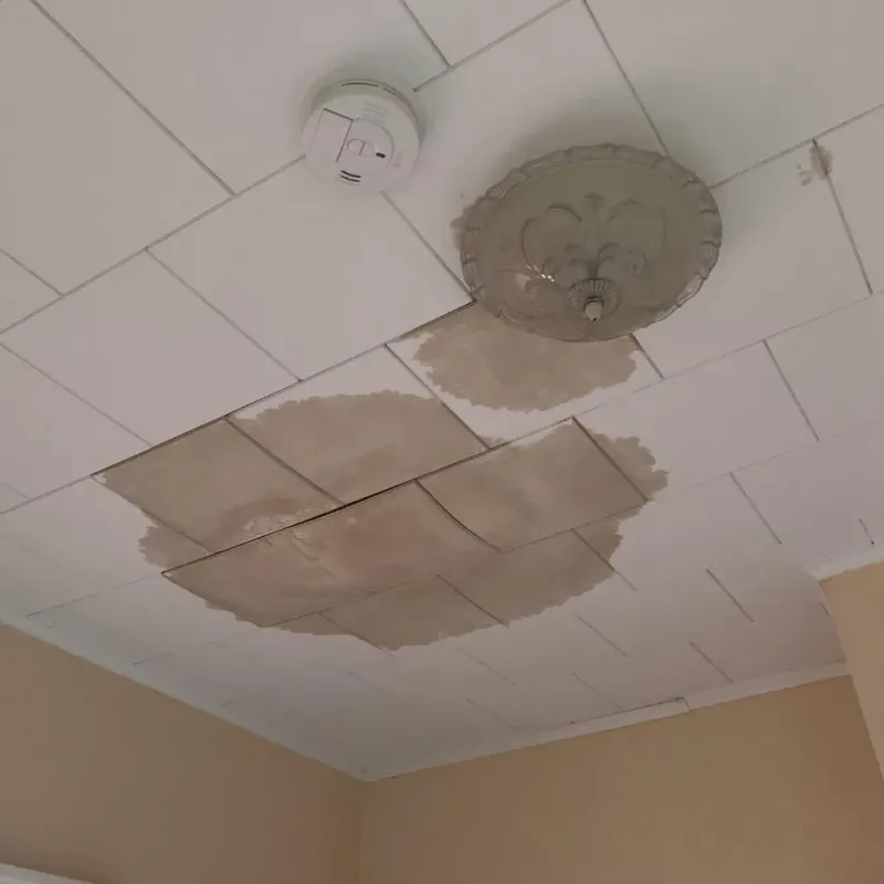Ceiling Water Damage Repair in Three Lakes, WA