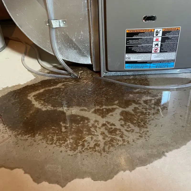 Pipe Burst and Leak Restoration in Three Lakes, WA