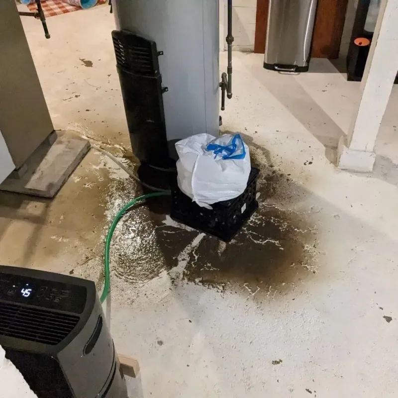 Sewage Backup Cleanup Service in Three Lakes, WA